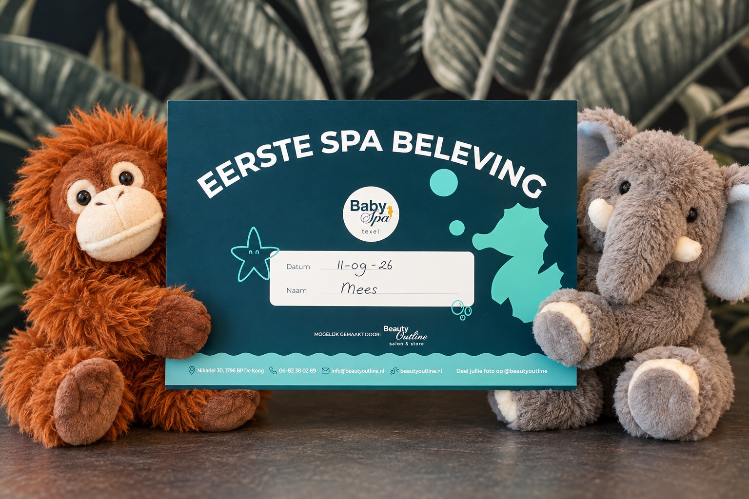 Eerste Spa Beleving diploma van Texelse Baby Spa tussen een aap- en olifantknuffel